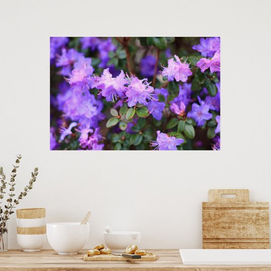 Poster rhododendron bleu pourpre (Cuisine)