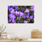 Poster rhododendron bleu violet (Cuisine)