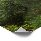 Poster Rhododendron dans le parc national Redwood en Cali (Coin)