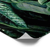 Poster Rhododendron de l'Inde du Nord (Coin)