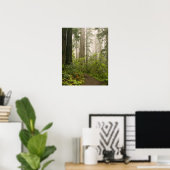 Poster Rhododendron en fleurs parmi les séquoias à feuill (Bureau à domicile)