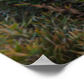 Poster Rhododendron florissant | Parc national de Taroko (Coin)