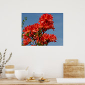 Poster "Rhododendron orange" (Cuisine)
