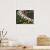 Poster Rhododendron (Rhododendron catawbiense) Santé (Cuisine)