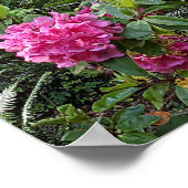 Poster Rhododendron rose dans une forêt florale photograp (Coin)