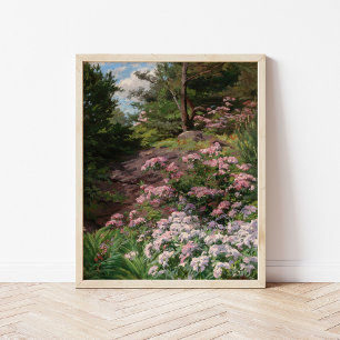 Poster Rhododendron rose et blanc   Thomas Allen, Jr.