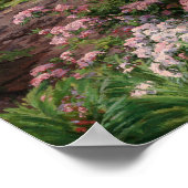 Poster Rhododendron rose et blanc | Thomas Allen, Jr. (Coin)