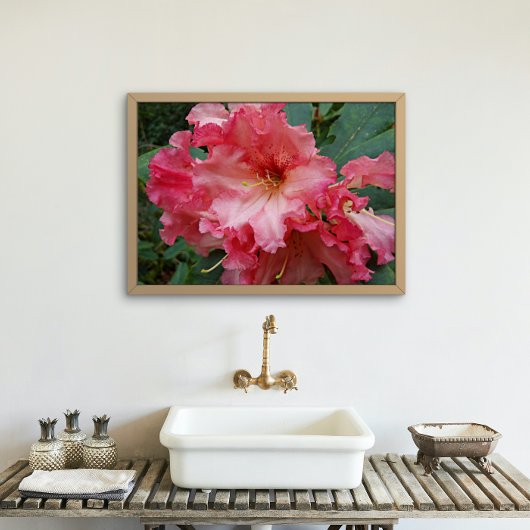 Poster Rhododendron rose fleurit