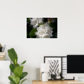 Poster Rhododendrons blancs doux (Bureau à domicile)