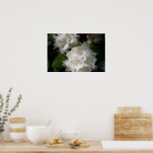 Poster Rhododendrons blancs doux (Cuisine)