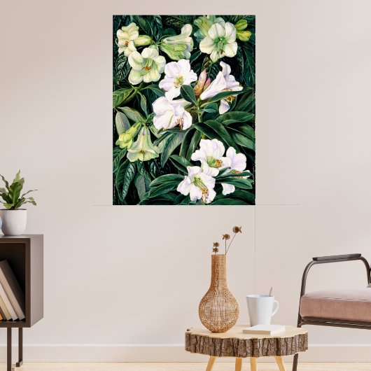 Poster Rhododendrons d'Inde du Nord (Salon 3)