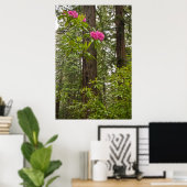 Poster Rhododendrons en fleurs avec des séquoias côtiers (Bureau à domicile)