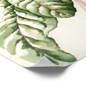 Poster Rhubarb Chard 1992 (Coin)