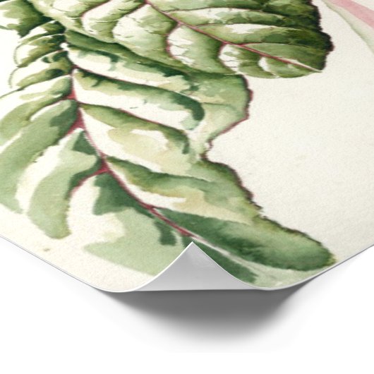 Poster Rhubarb Chard 1992 (Coin)