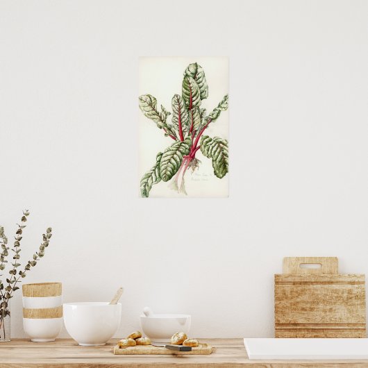 Poster Rhubarb Chard 1992 (Cuisine)
