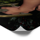 Poster Rhynash (Coin)