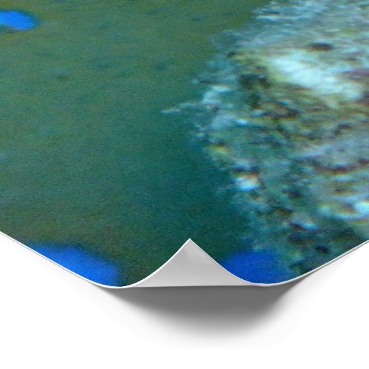 Poster Ribbontail rayé (Coin)