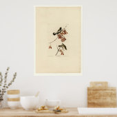 Poster Rice Bird (Cuisine)