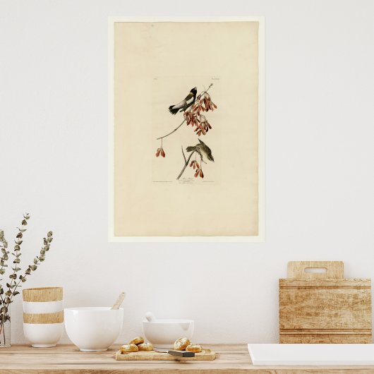 Poster Rice Bird (Cuisine)