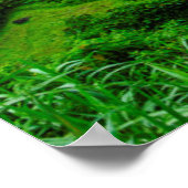 Poster Rice terrace landscape, Philippines (Coin)