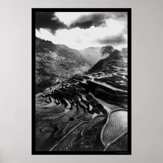 Poster Rice Terrace Philippines 1898 (Devant)