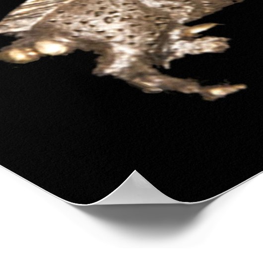 Poster Richard III in the shadows (Coin)