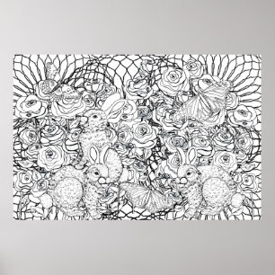 Poster Richesses de lapin