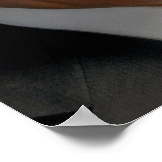 Poster Rick Perry (Coin)