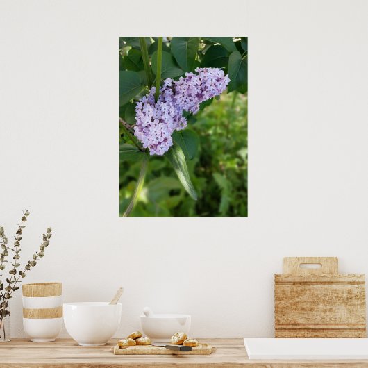 Poster rideau lilas (Cuisine)