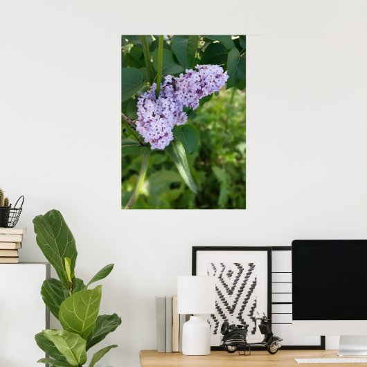 Poster rideau lilas (Bureau à domicile)