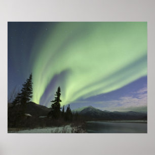Poster Rideaux de l'aurore boréale verte dans le ciel