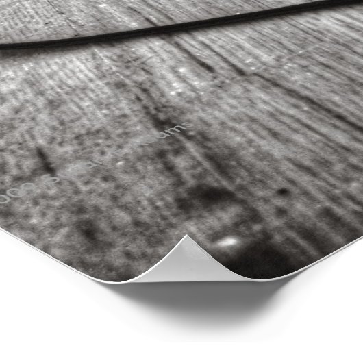 Poster Rien à la télé (Coin)