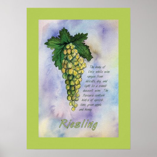 Poster Riesling Wine Grapes (Voorkant)