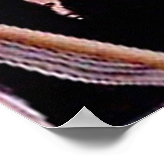 Poster Riff Raff et Magenta (Coin)