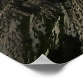 Poster Rifugio Auronzo (Coin)