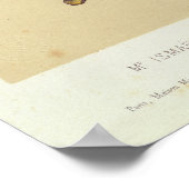 Poster Rigoletto de 'Rigoletto' (Coin)