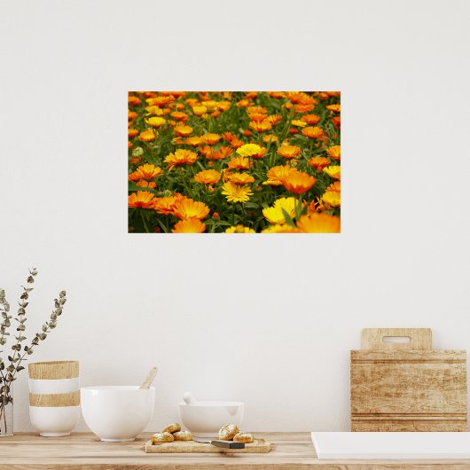 Poster Ringelblume (Cuisine)