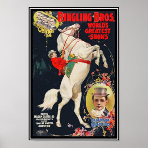 Poster Ringling Brothers Circus Mevrouw Ada Castel