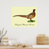 Poster Ringneck Pheasant Rooster (Cuisine)