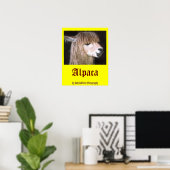 Poster Ringo l'affiche d'Alpaca (Bureau à domicile)