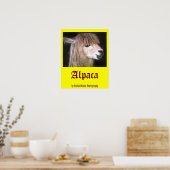 Poster Ringo l'affiche d'Alpaca (Cuisine)