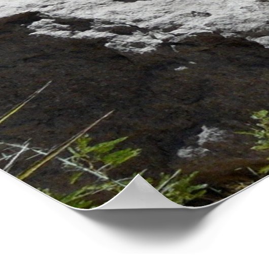 Poster Rio Grande River-Texas (Coin)