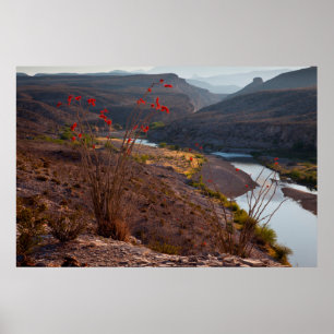 Poster Rio Grande traversant le désert de Chihuahuan