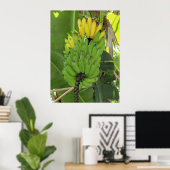 Poster Ripening Bananes (Bureau à domicile)