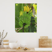 Poster Ripening Bananes (Cuisine)