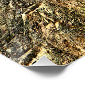 Poster Ripplin' Mountain... (Coin)