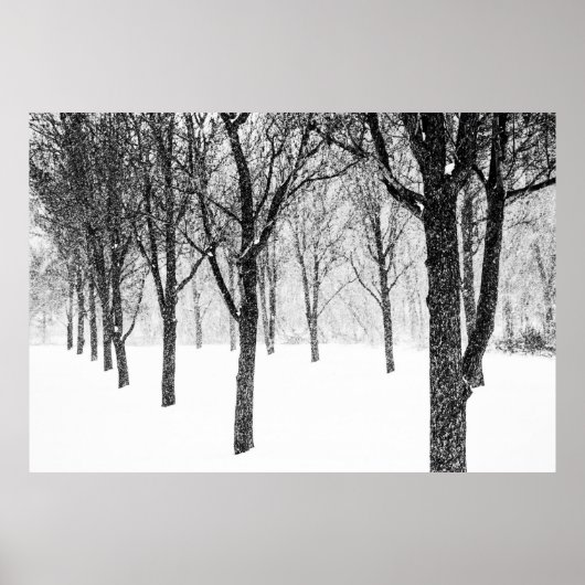 Poster ris I side with trees (Devant)