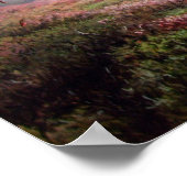 Poster 'Rising Grouse' - imprimer sur la toile (Coin)