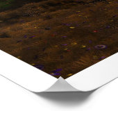 Poster Rite de printemps (Coin)