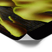 Poster Rites du printemps (Coin)